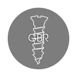 Guided Bone Regeneration (GBR)