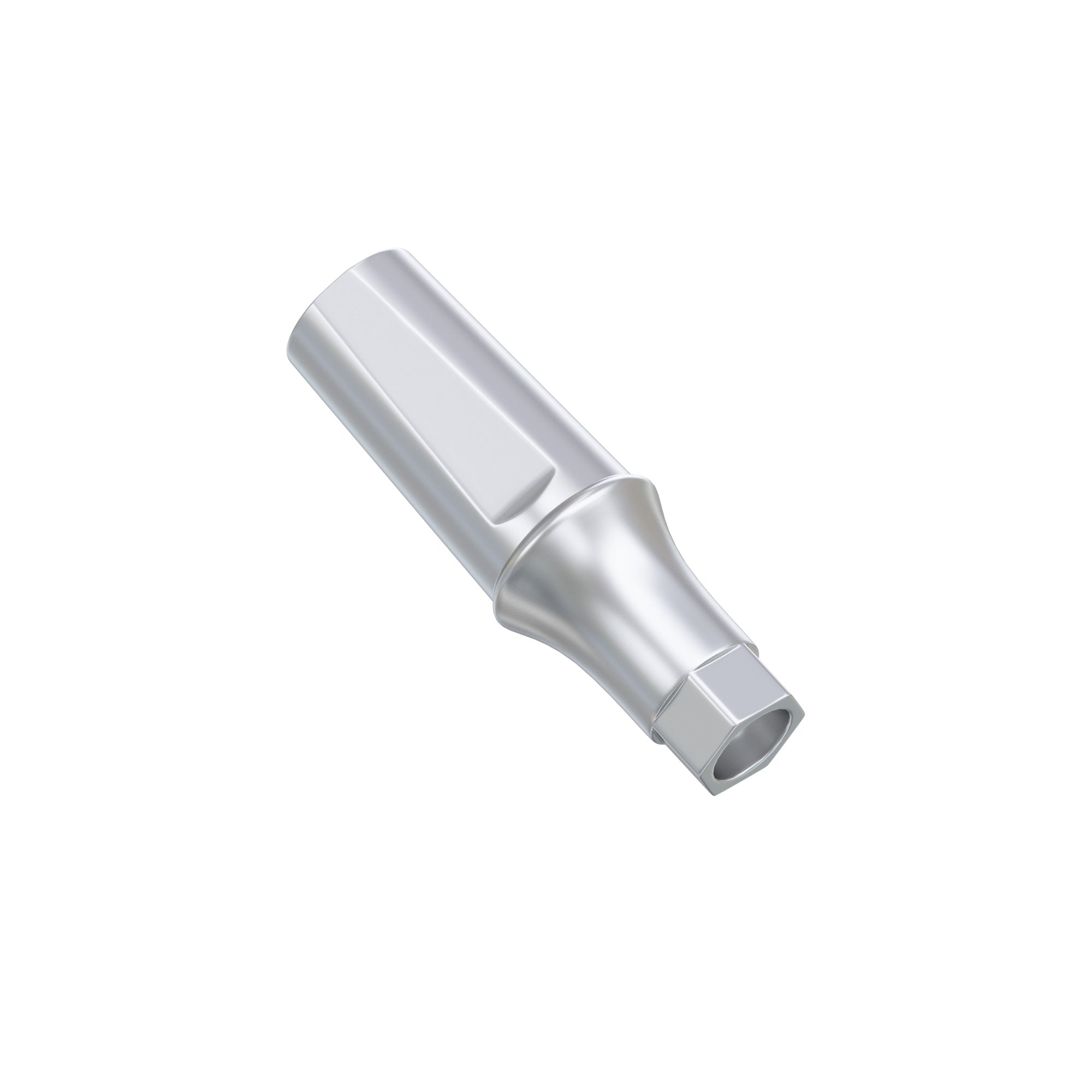 DSI Anatomic Abutment Osstem TS / Hiossen ET Regular Platform Compatible