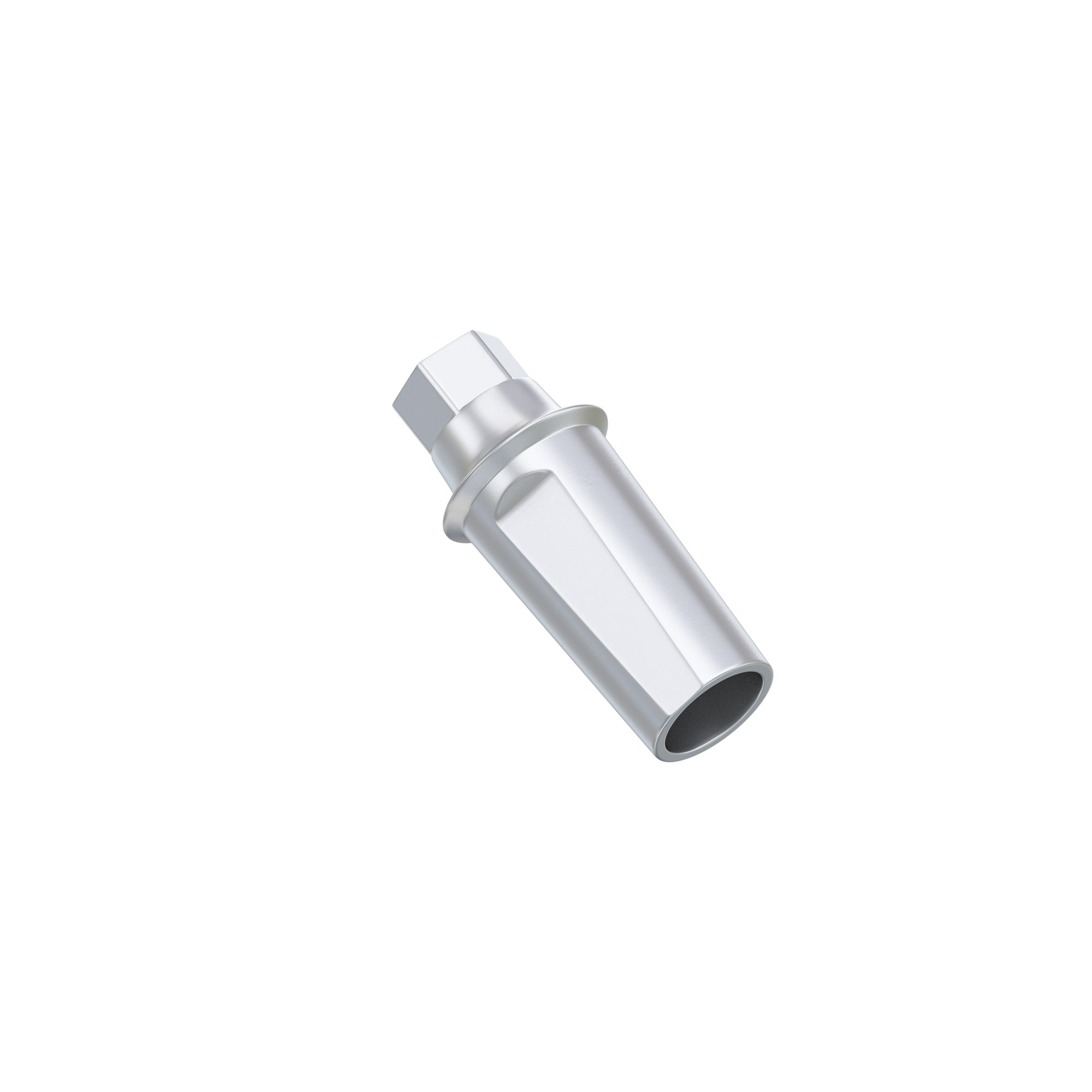 DSI Anatomic Abutment Osstem TS / Hiossen ET Regular Platform Compatible