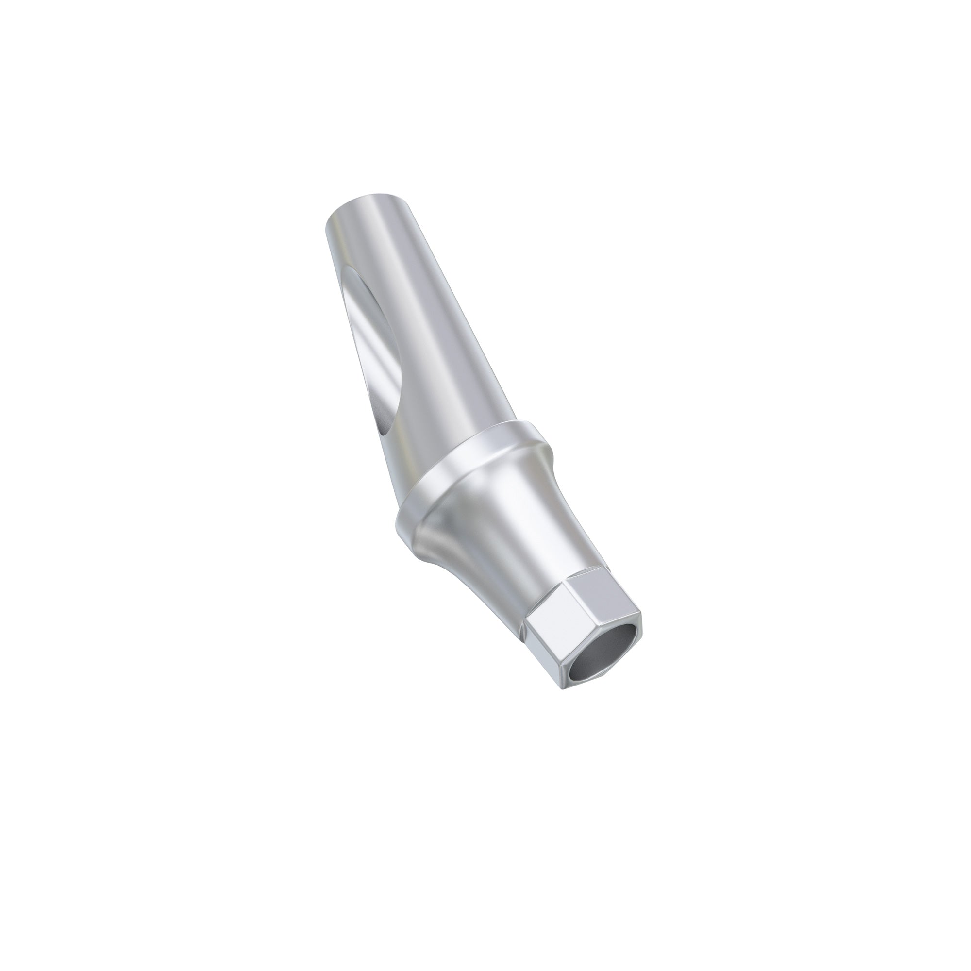 DSI Anatomic Angulated Abutment 17° Osstem TS / Hiossen ET Regular Platform