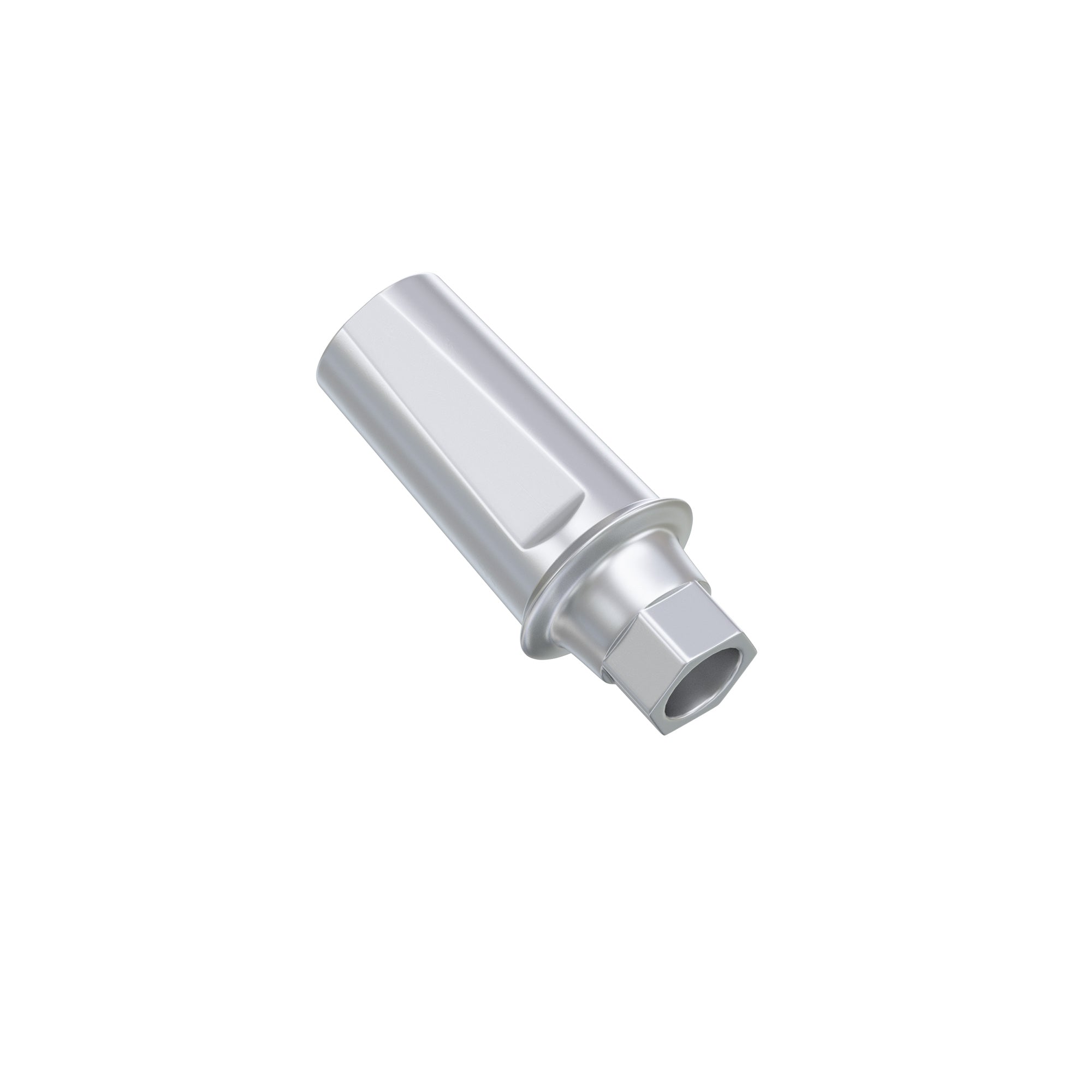 DSI Anatomic Abutment Osstem TS / Hiossen ET Regular Platform Compatible