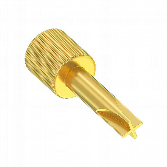 Dentatus Golden Metal Key