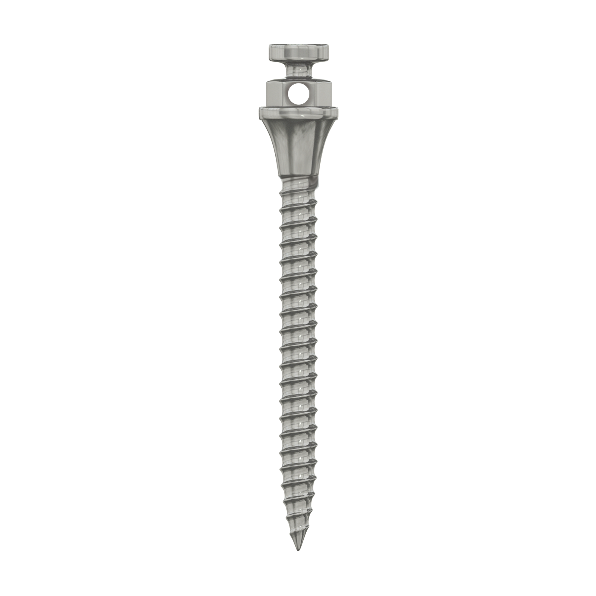 DSI TAD Miniscrew Orthodontic Implant Titanium Standard Ø1.5mm