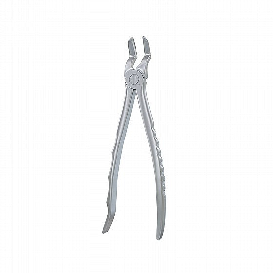 Dental Upper Roots Extracting Forceps #51