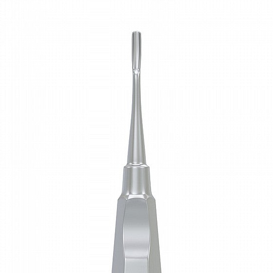 Straight Apical Elevator Socket Teeth Extraction